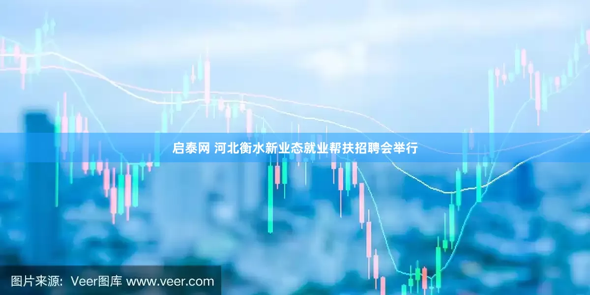 启泰网 河北衡水新业态就业帮扶招聘会举行