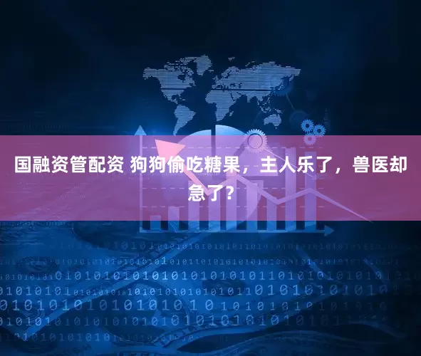 国融资管配资 狗狗偷吃糖果，主人乐了，兽医却急了？