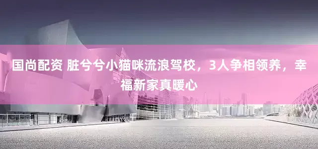 国尚配资 脏兮兮小猫咪流浪驾校，3人争相领养，幸福新家真暖心
