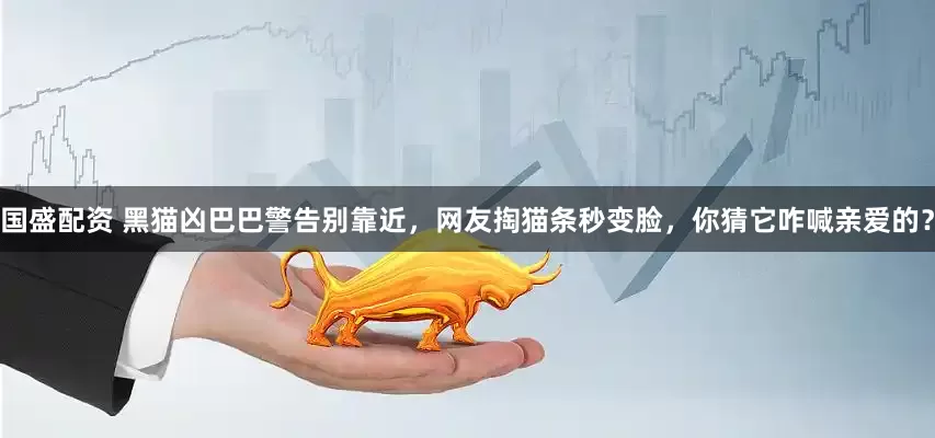 国盛配资 黑猫凶巴巴警告别靠近，网友掏猫条秒变脸，你猜它咋喊亲爱的？