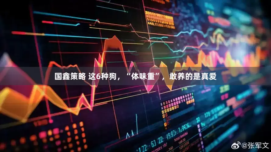 国鑫策略 这6种狗，“体味重”，敢养的是真爱