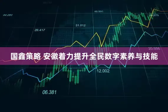 国鑫策略 安徽着力提升全民数字素养与技能