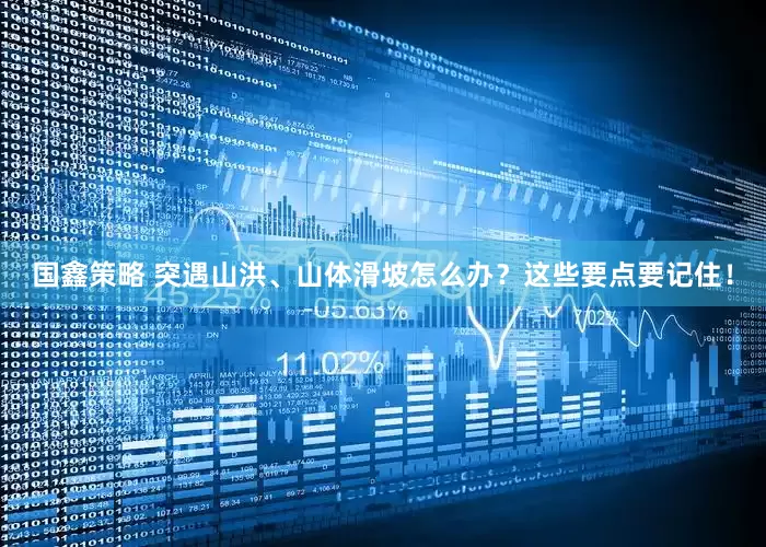 国鑫策略 突遇山洪、山体滑坡怎么办？这些要点要记住！