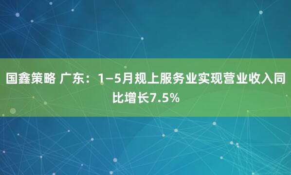 国鑫策略 广东：1—5月规上服务业实现营业收入同比增长7.5%